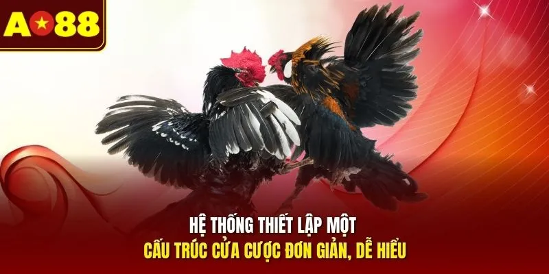Hệ thống thiết lập một cấu trúc cửa cược đơn giản, dễ hiểu
