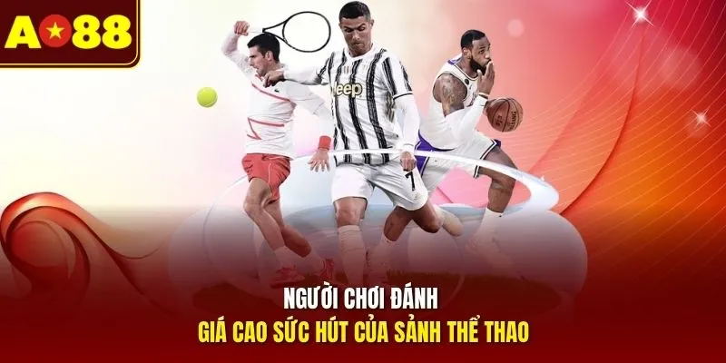 Người chơi đánh giá cao sức hút của sảnh thể thao