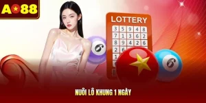 Nuôi Lô Khung 1 Ngày | Cách Theo Dõi Chu Kỳ Ngắn Dễ Áp Dụng