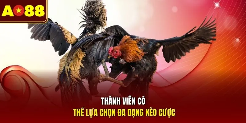 Thành viên có thể lựa chọn đa dạng kèo cược