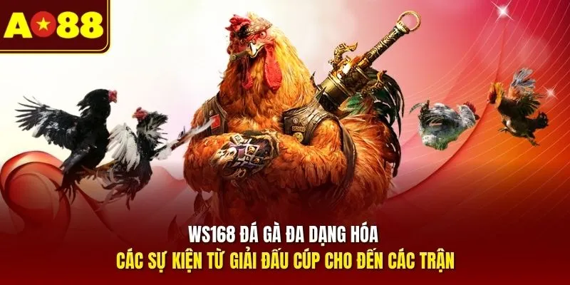 WS168 đá gà đa dạng hóa các sự kiện từ giải đấu cúp cho đến các trận