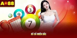 Xổ Số Miền Bắc AO88 | Theo Dõi Kết Quả Chuẩn Xác Mỗi Ngày